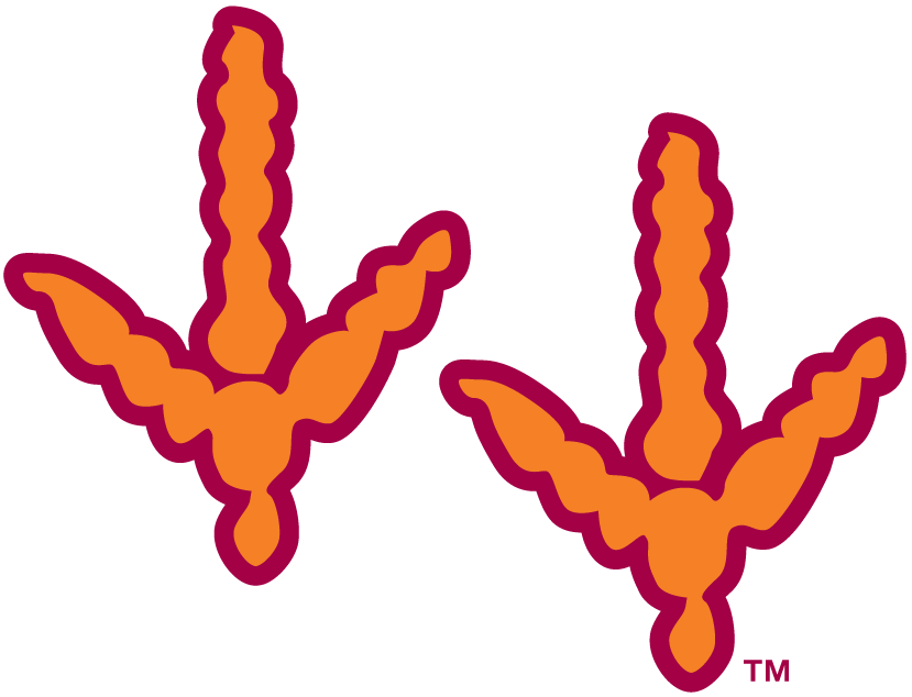 Virginia Tech Hokies 2000-Pres Alternate Logo v2 diy DTF decal sticker